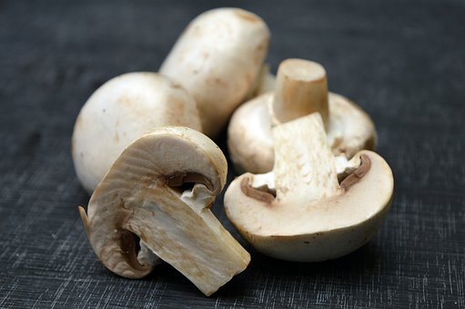 Varieties of Mushroom Supplements